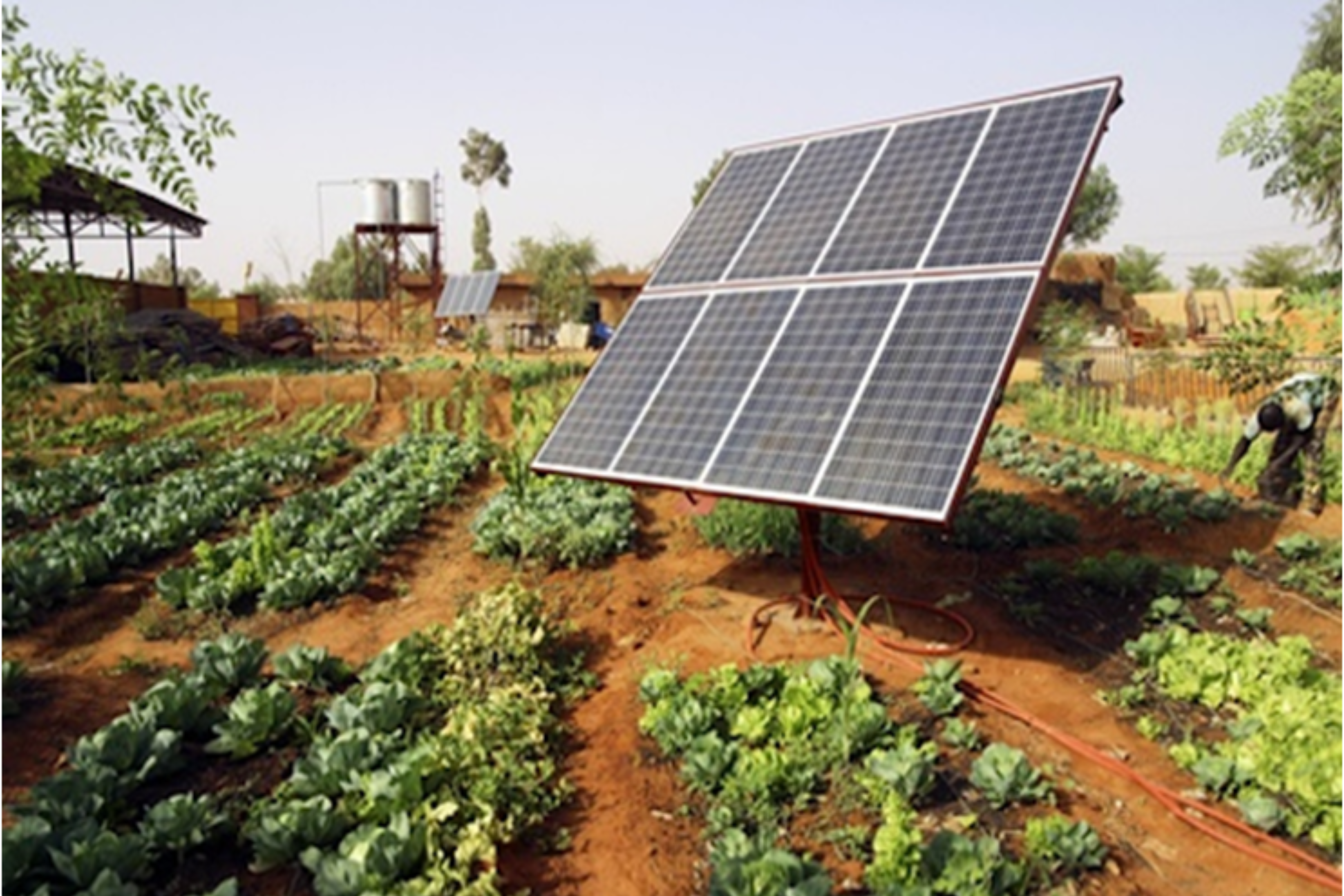 Village Farming Technology